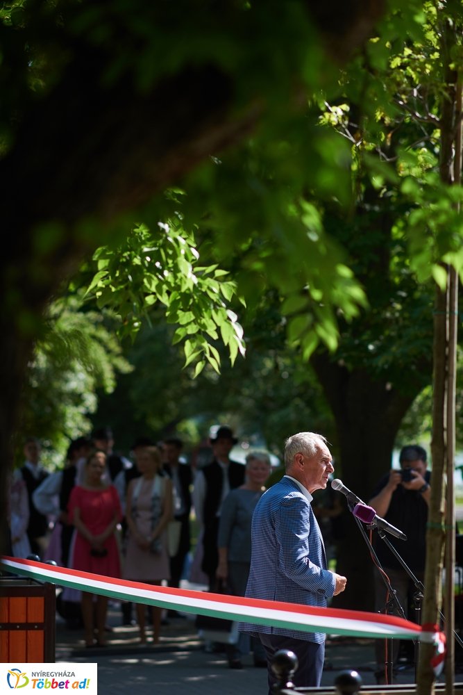 MJVSZ 2019 - faültetés 1