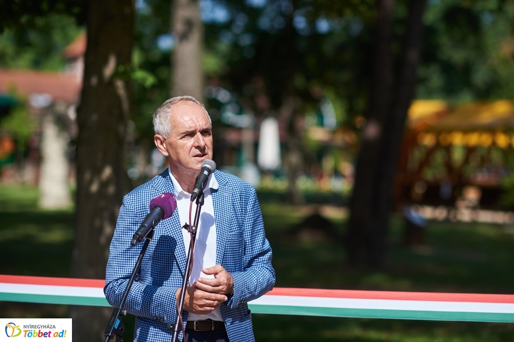 MJVSZ 2019 - faültetés 1