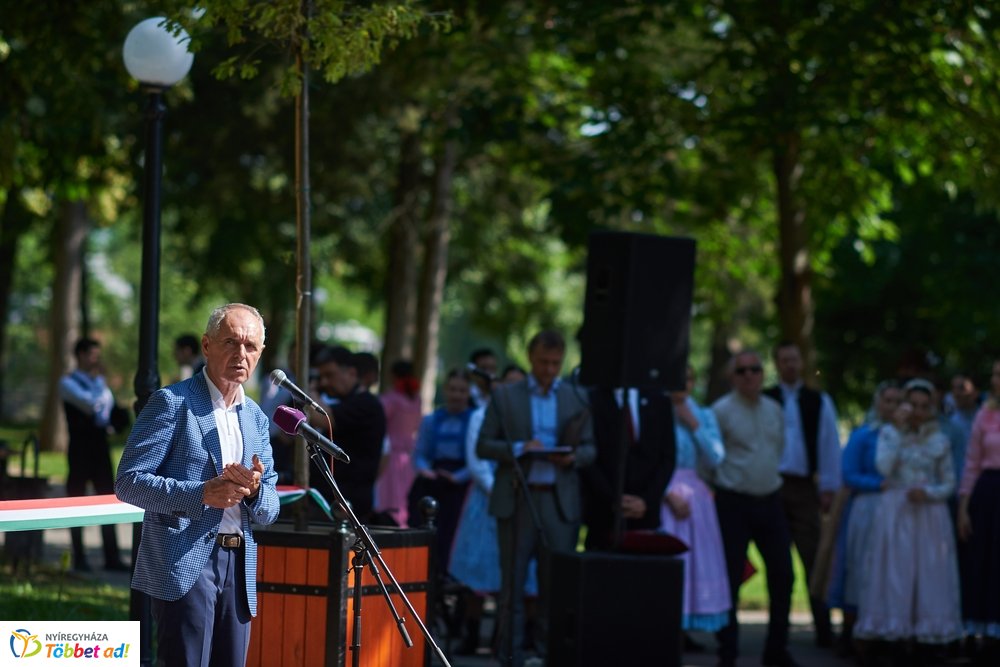 MJVSZ 2019 - faültetés 1