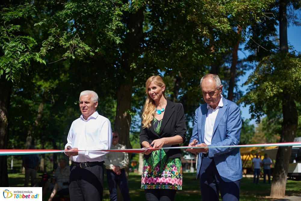 MJVSZ 2019 - faültetés 1