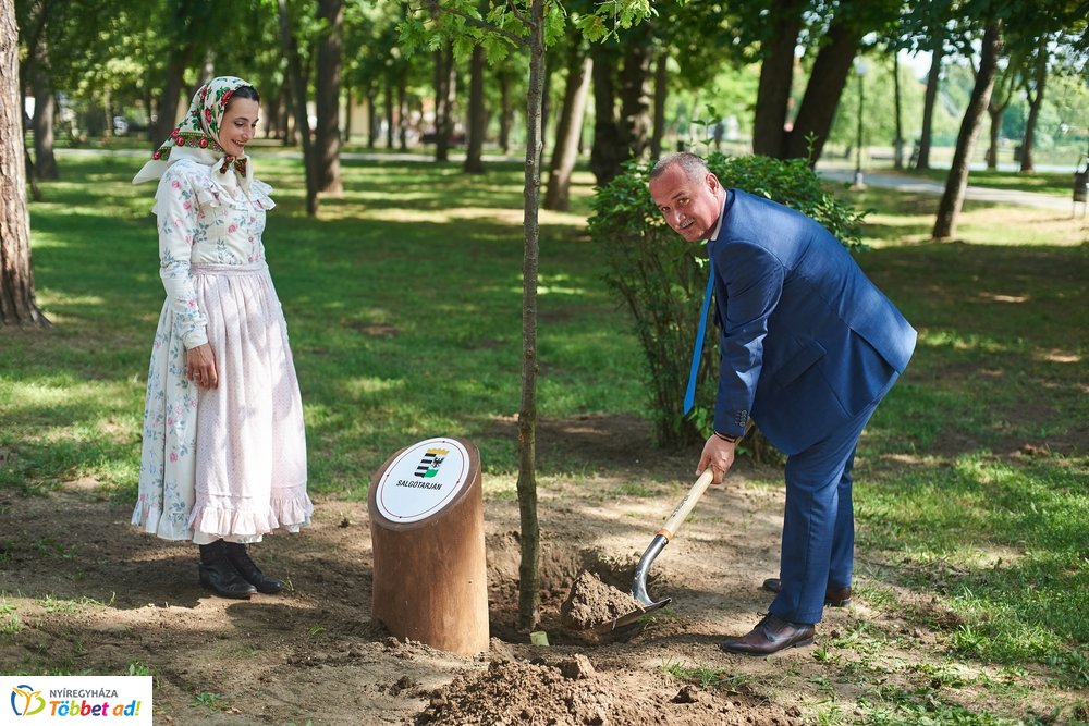 MJVSZ 2019 - faültetés 1