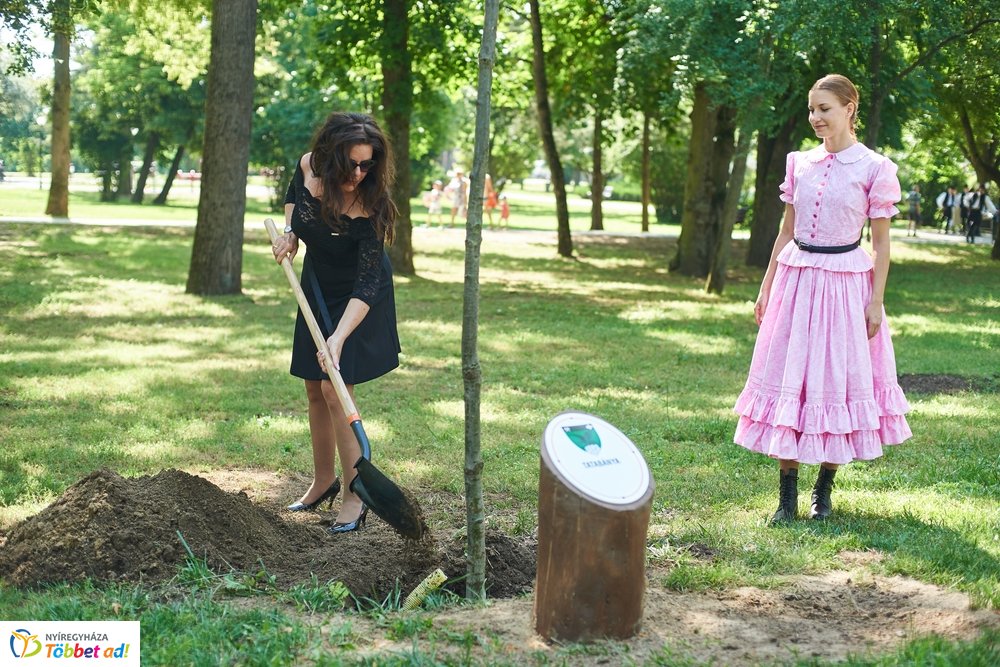 MJVSZ 2019 - faültetés 1