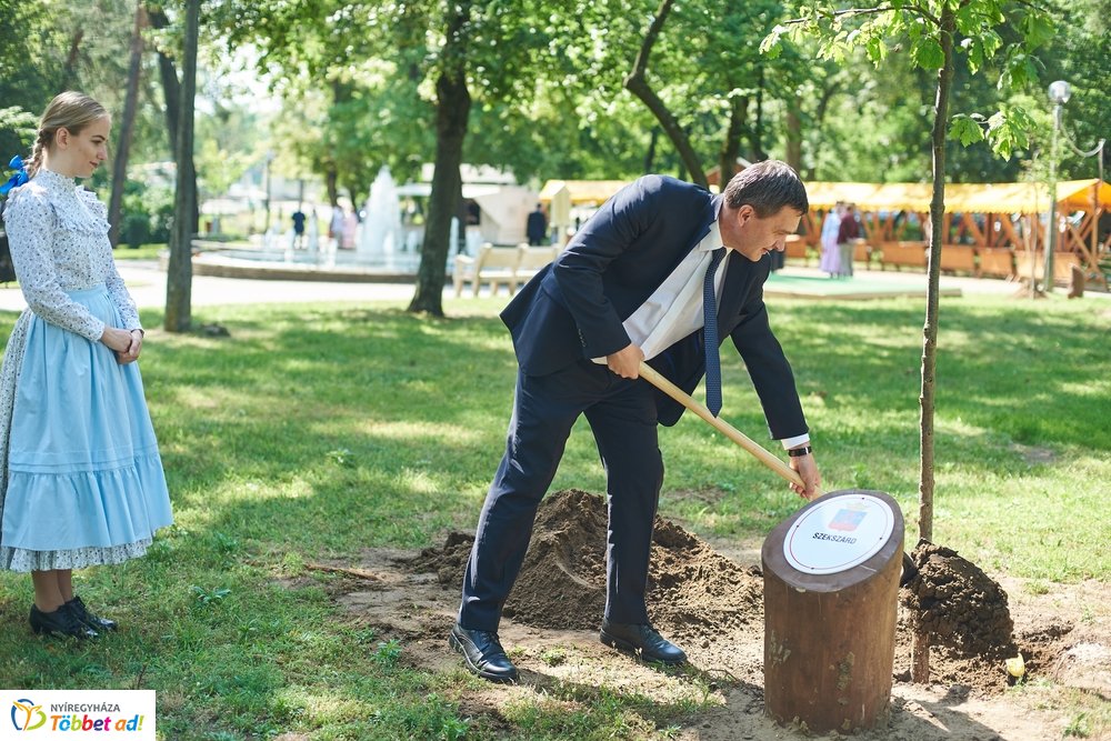 MJVSZ 2019 - faültetés 1