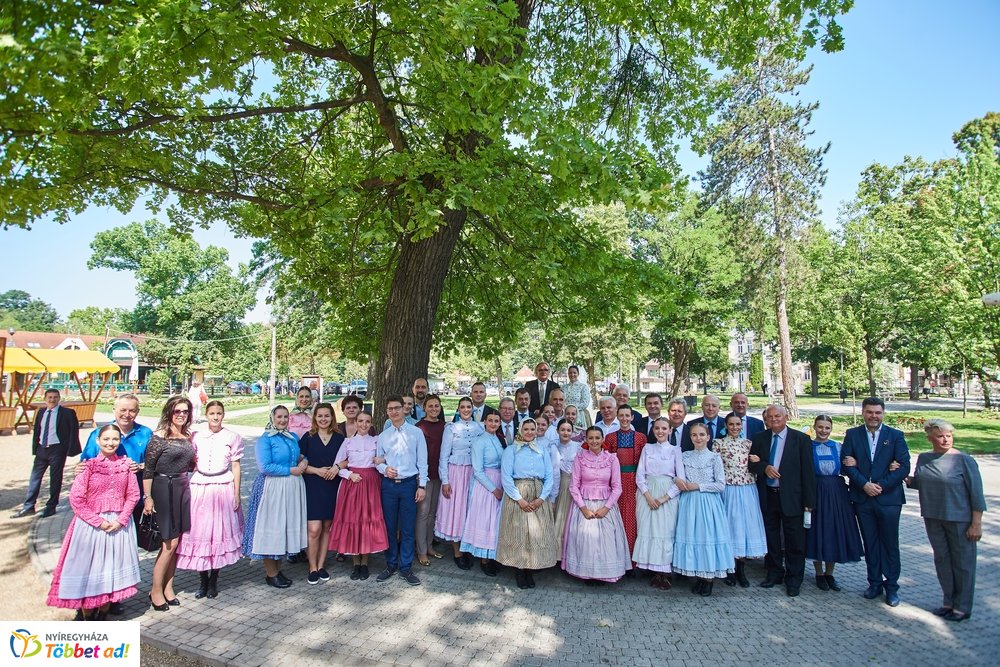 MJVSZ 2019 - faültetés 1