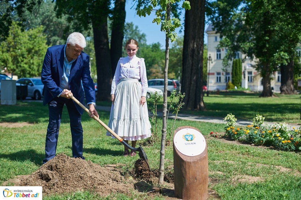 MJVSZ 2019 - faültetés 1