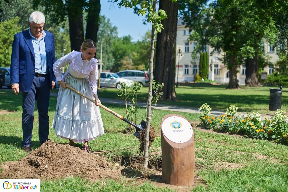 MJVSZ 2019 - faültetés 1