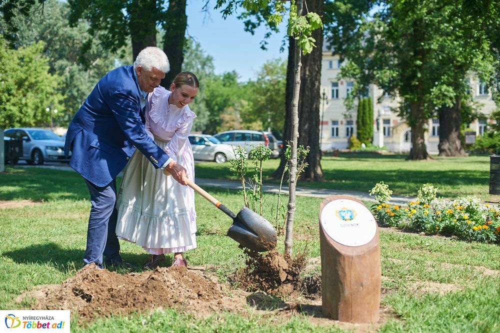 MJVSZ 2019 - faültetés 1