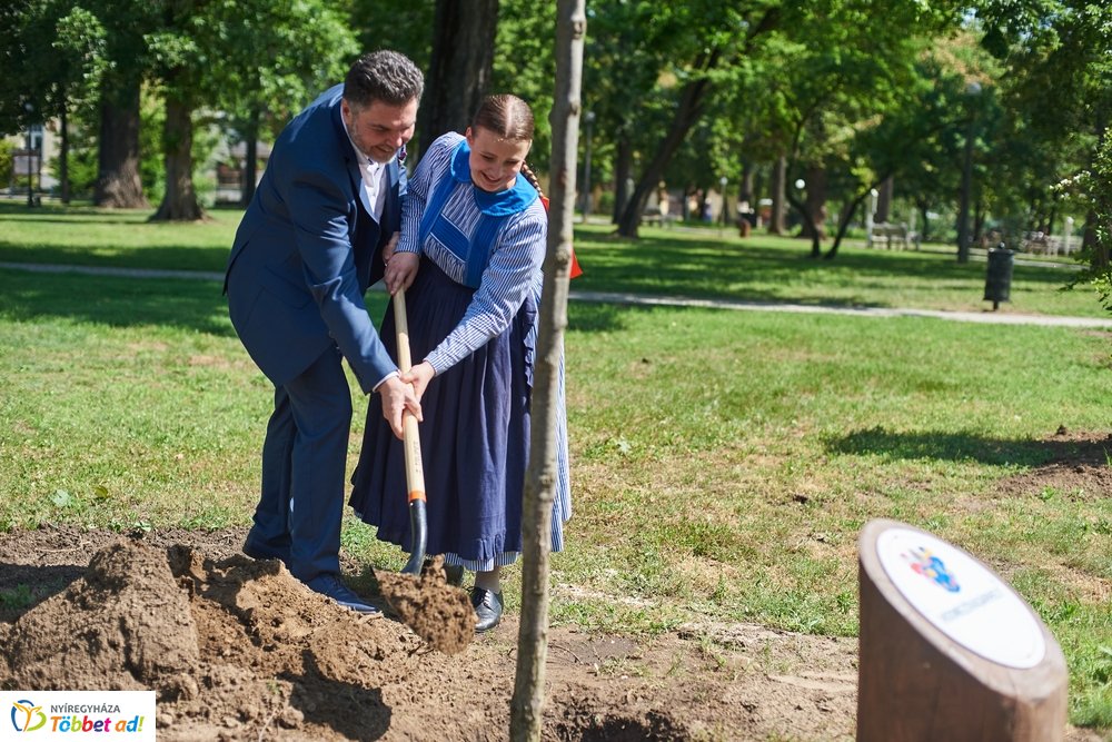 MJVSZ 2019 - faültetés 1