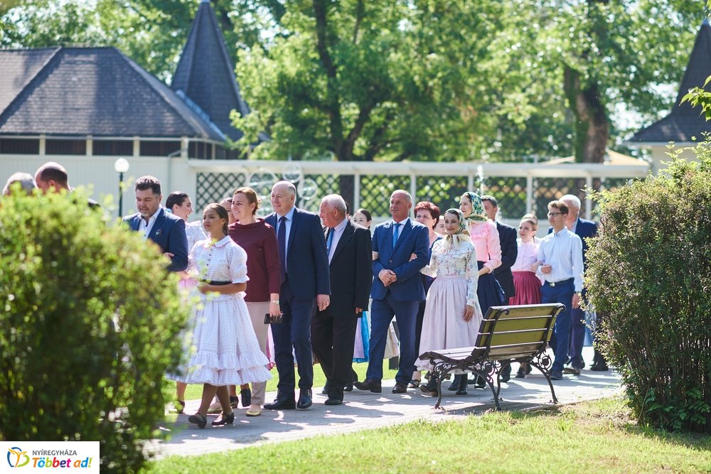 MJVSZ 2019 - faültetés 1