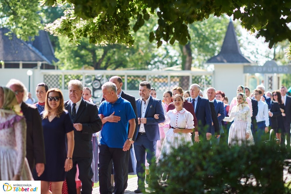 MJVSZ 2019 - faültetés 1