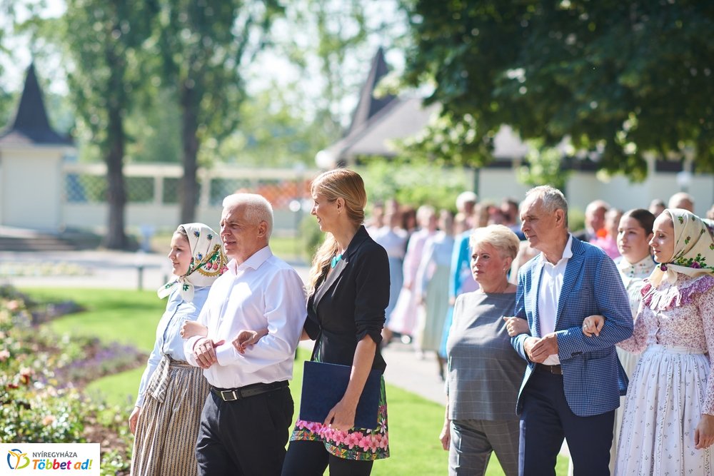 MJVSZ 2019 - faültetés 1