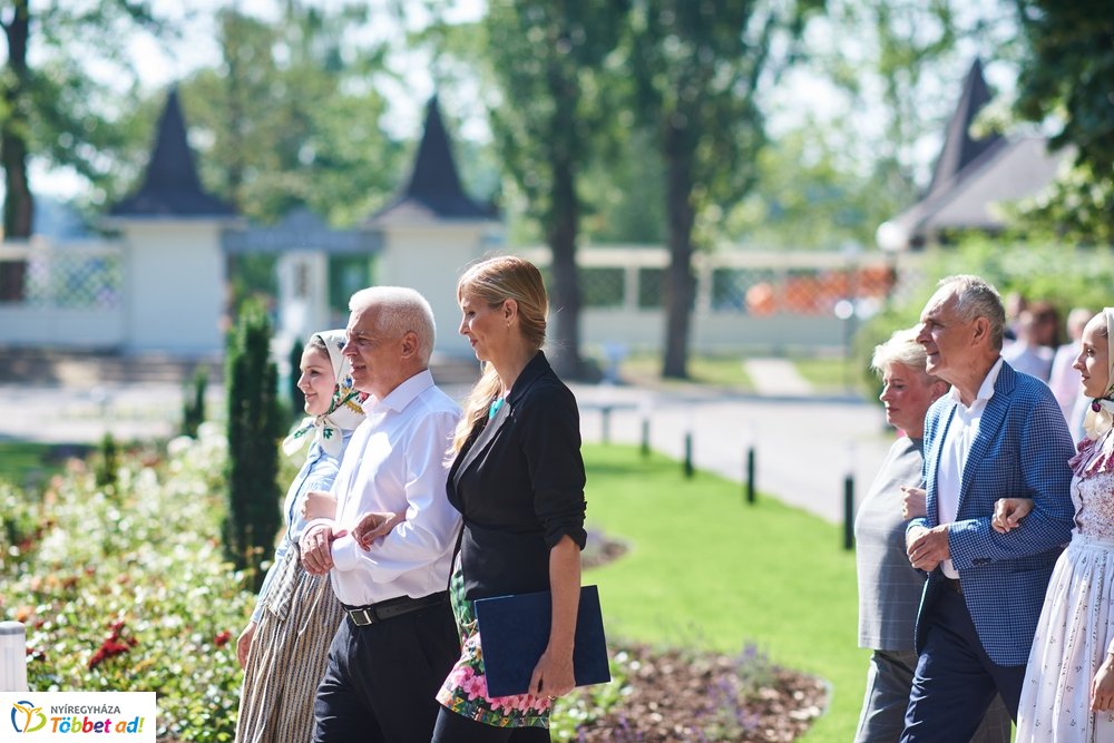 MJVSZ 2019 - faültetés 1