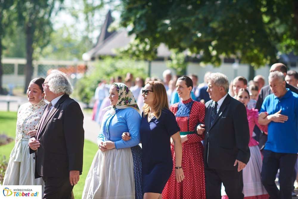 MJVSZ 2019 - faültetés 1