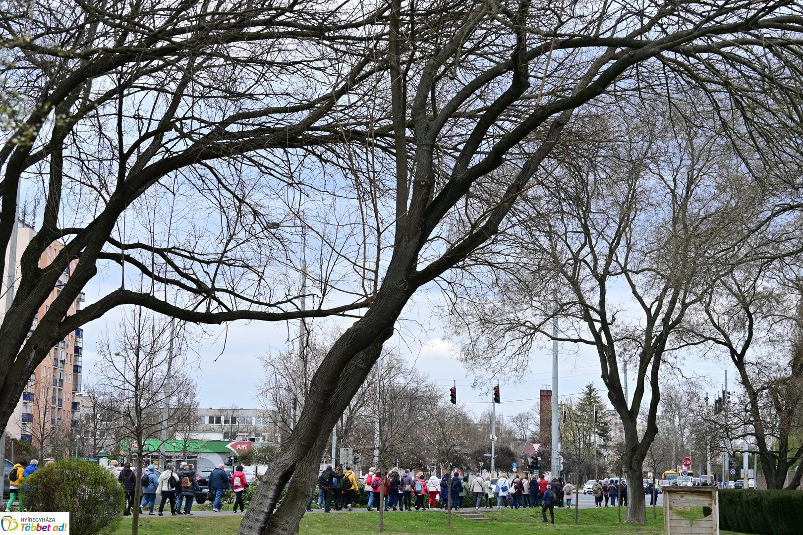 MOSA gyaloglás Nyíregyházán 2026