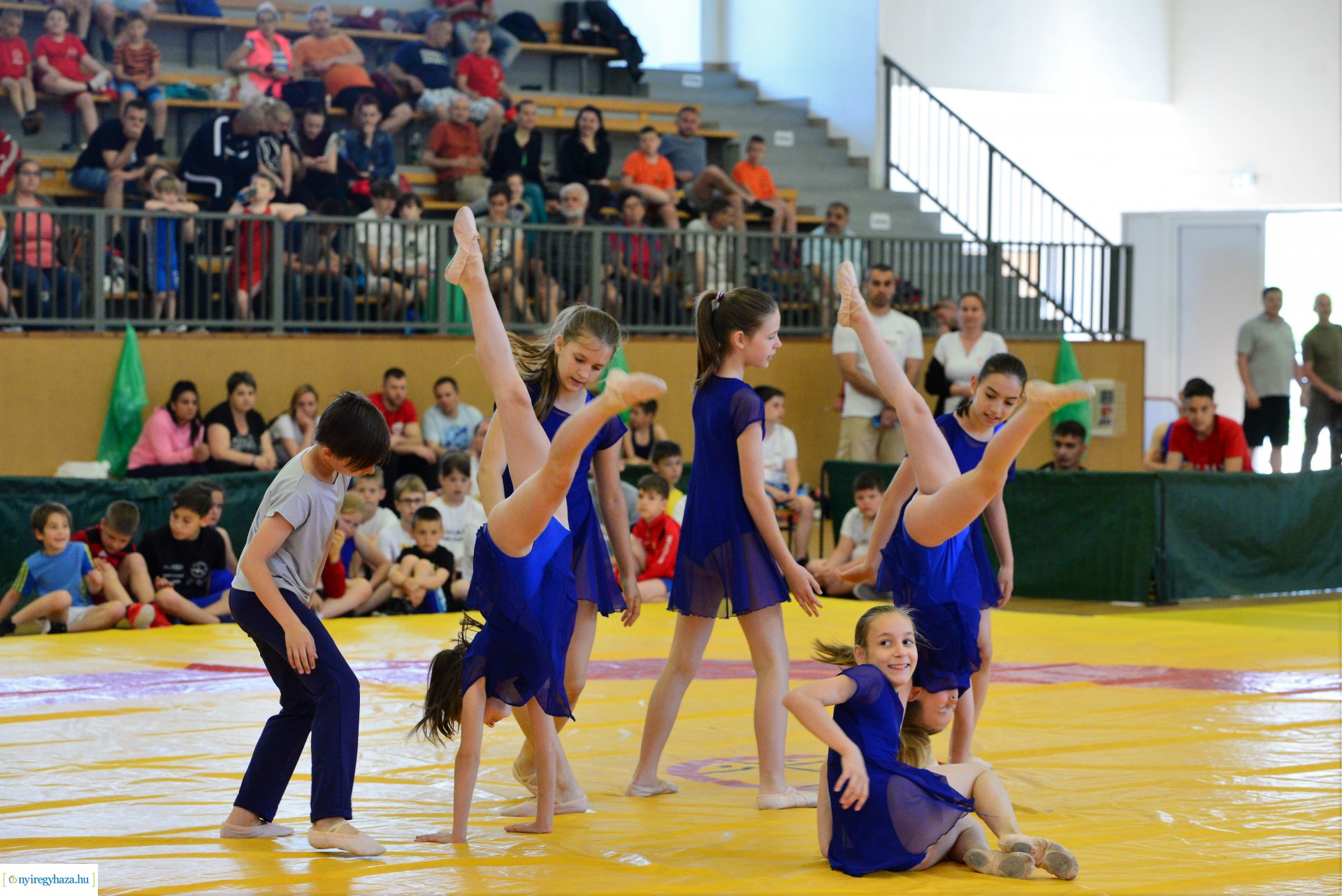 Mr. Tus Kupa Birkózóverseny 2022.