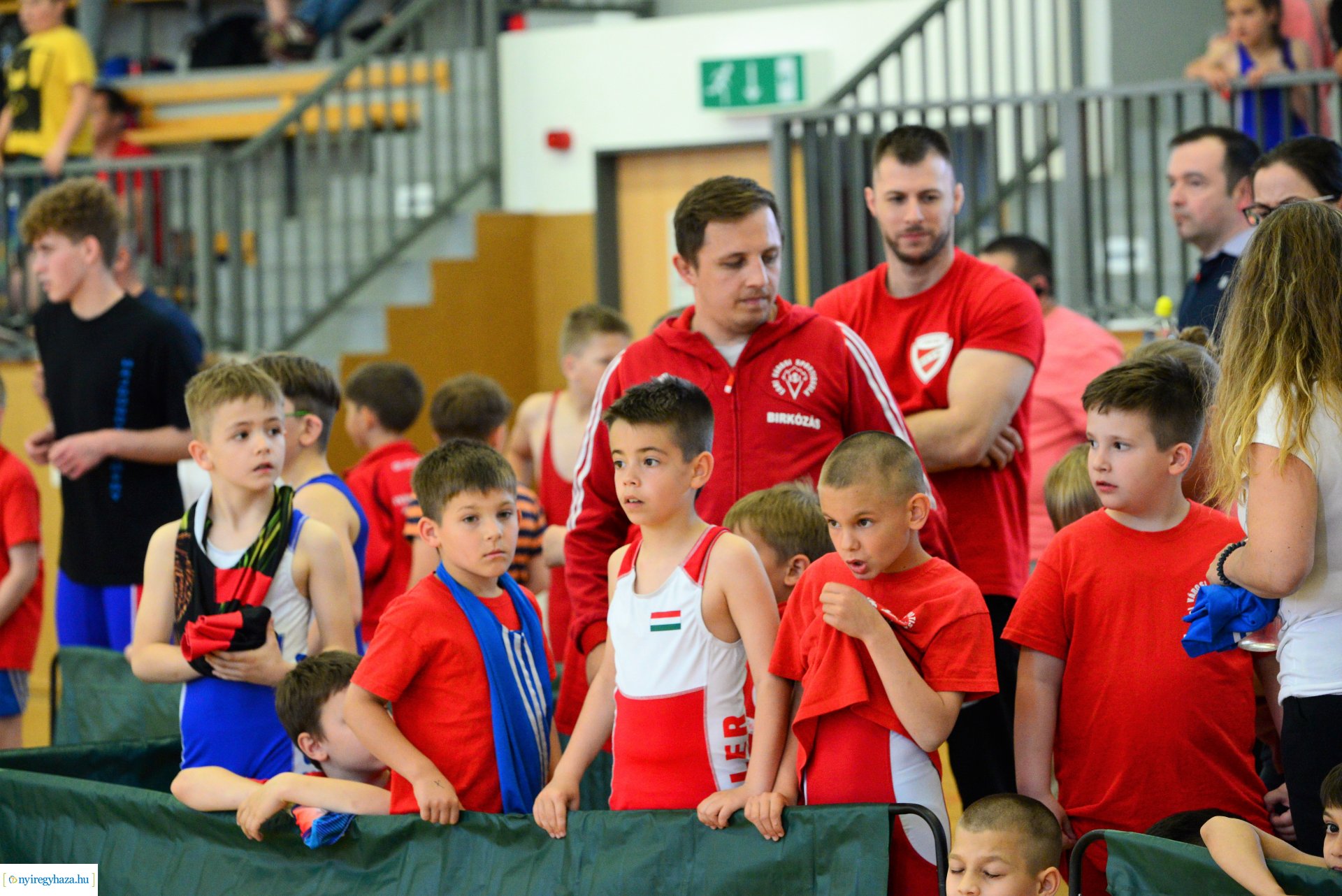 Mr. Tus Kupa Birkózóverseny 2022.