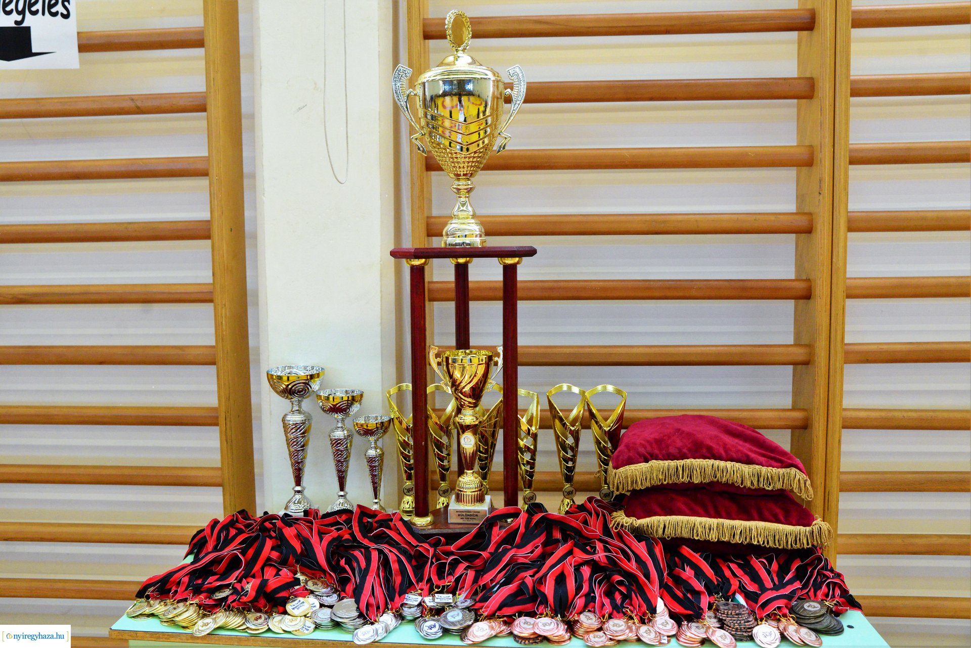 Mr. Tus Kupa Birkózóverseny 2022.