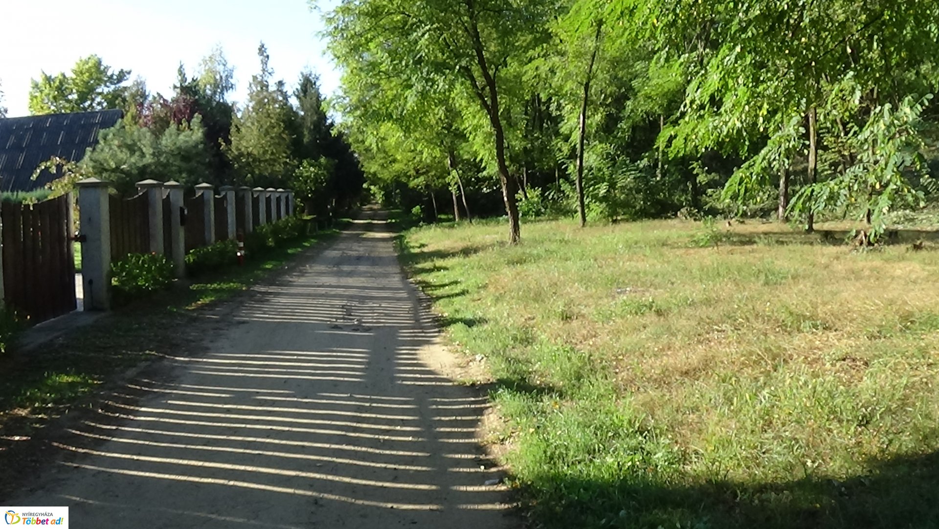 Mumifikálódott holttestet találtak Nagyszállásnál