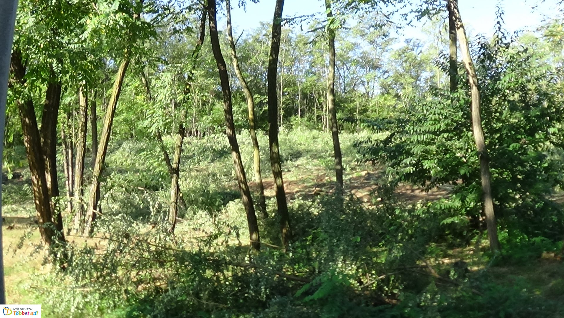 Mumifikálódott holttestet találtak Nagyszállásnál