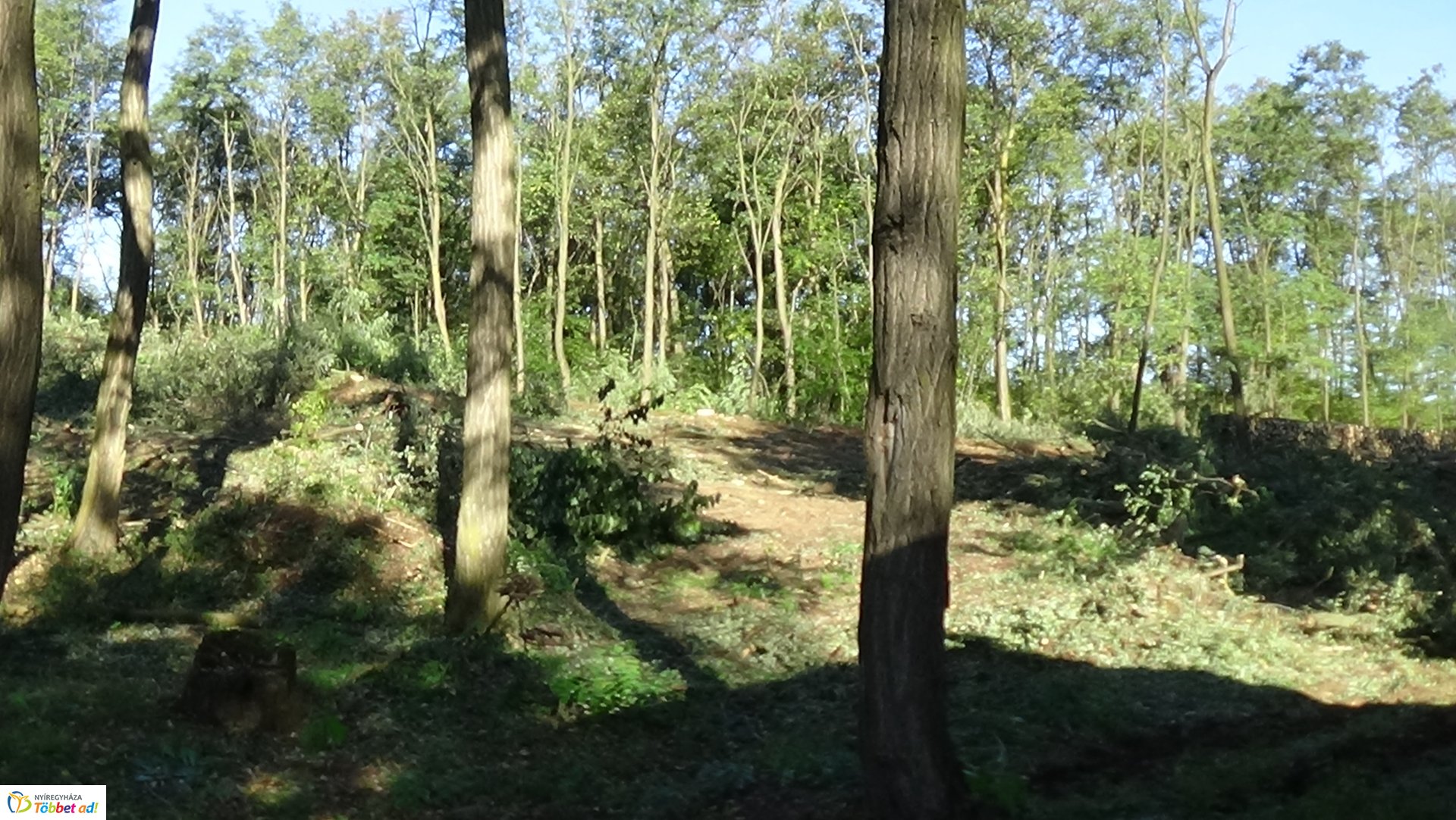 Mumifikálódott holttestet találtak Nagyszállásnál