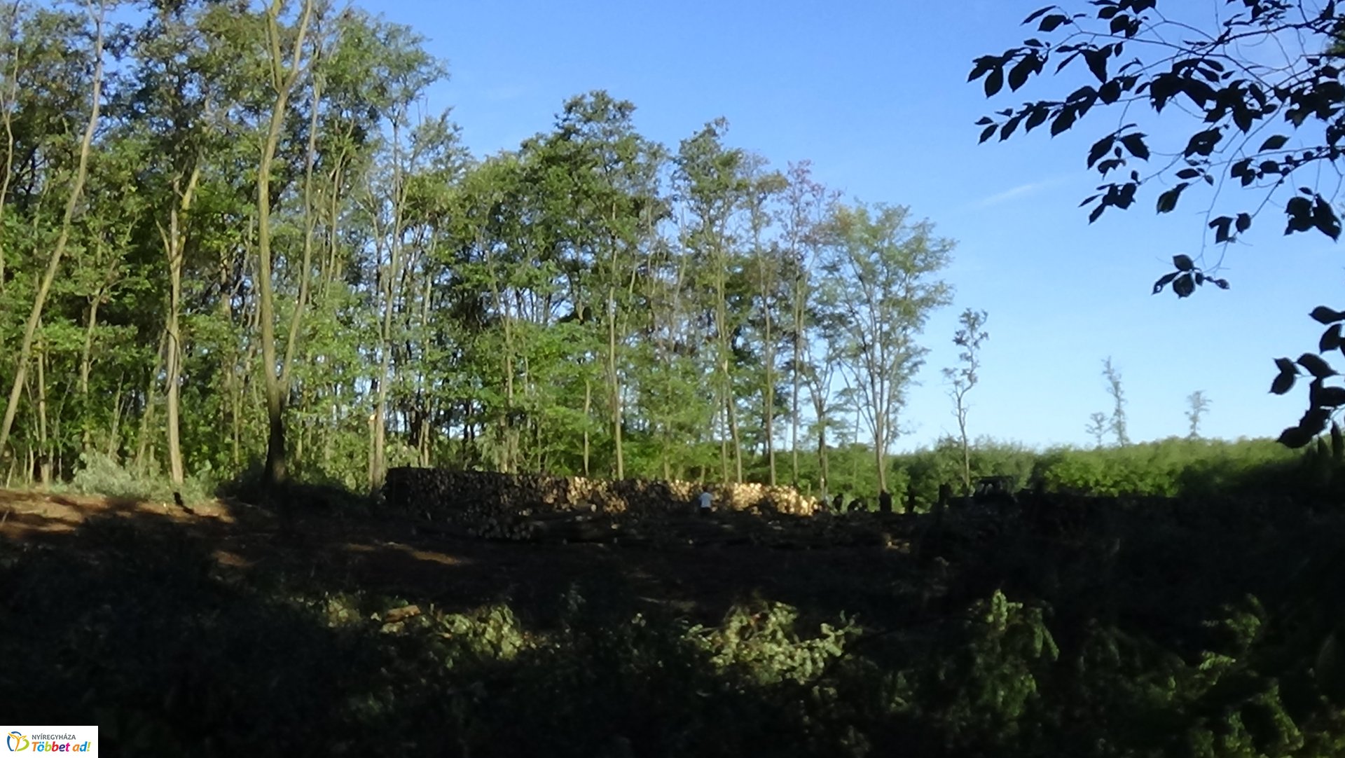 Mumifikálódott holttestet találtak Nagyszállásnál