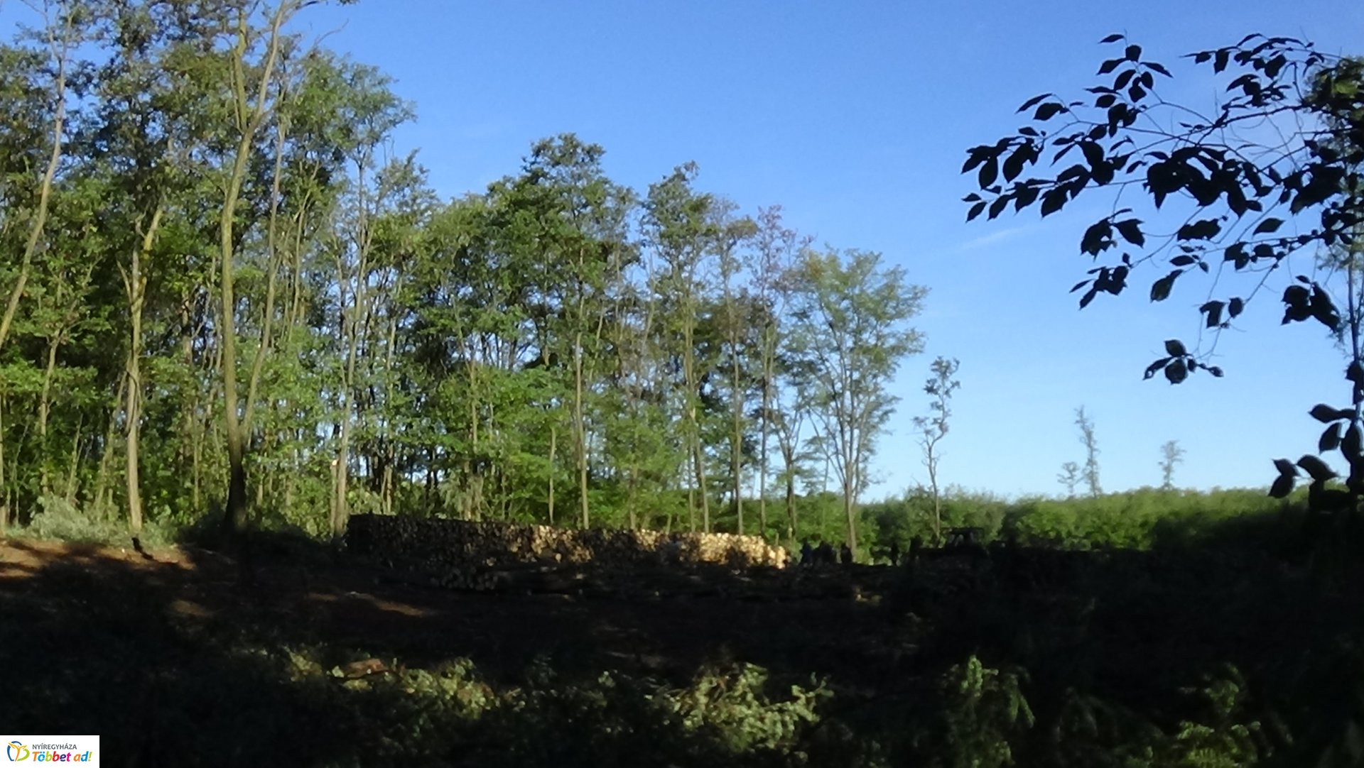 Mumifikálódott holttestet találtak Nagyszállásnál