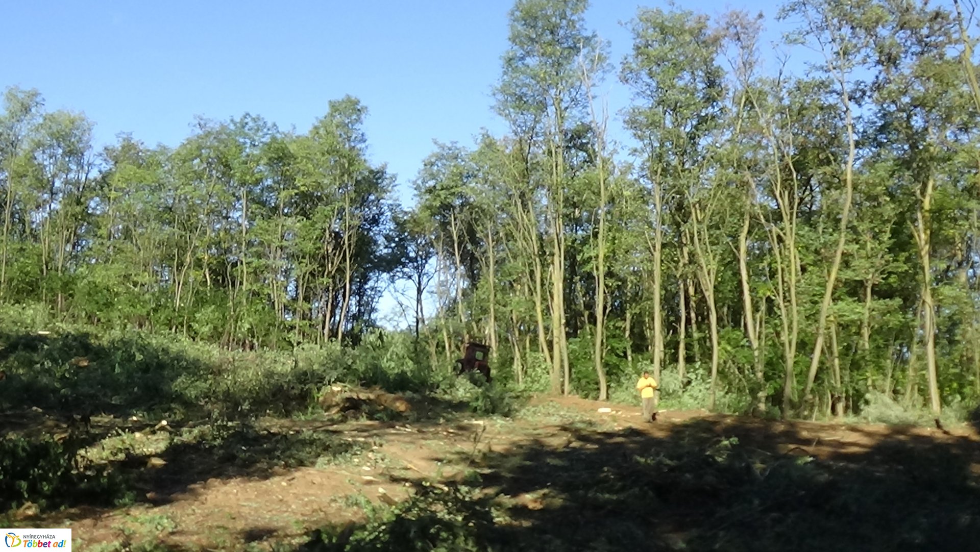 Mumifikálódott holttestet találtak Nagyszállásnál