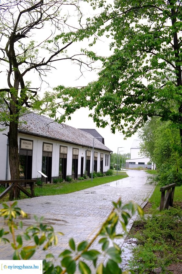 Múzeumi Világnap 2021