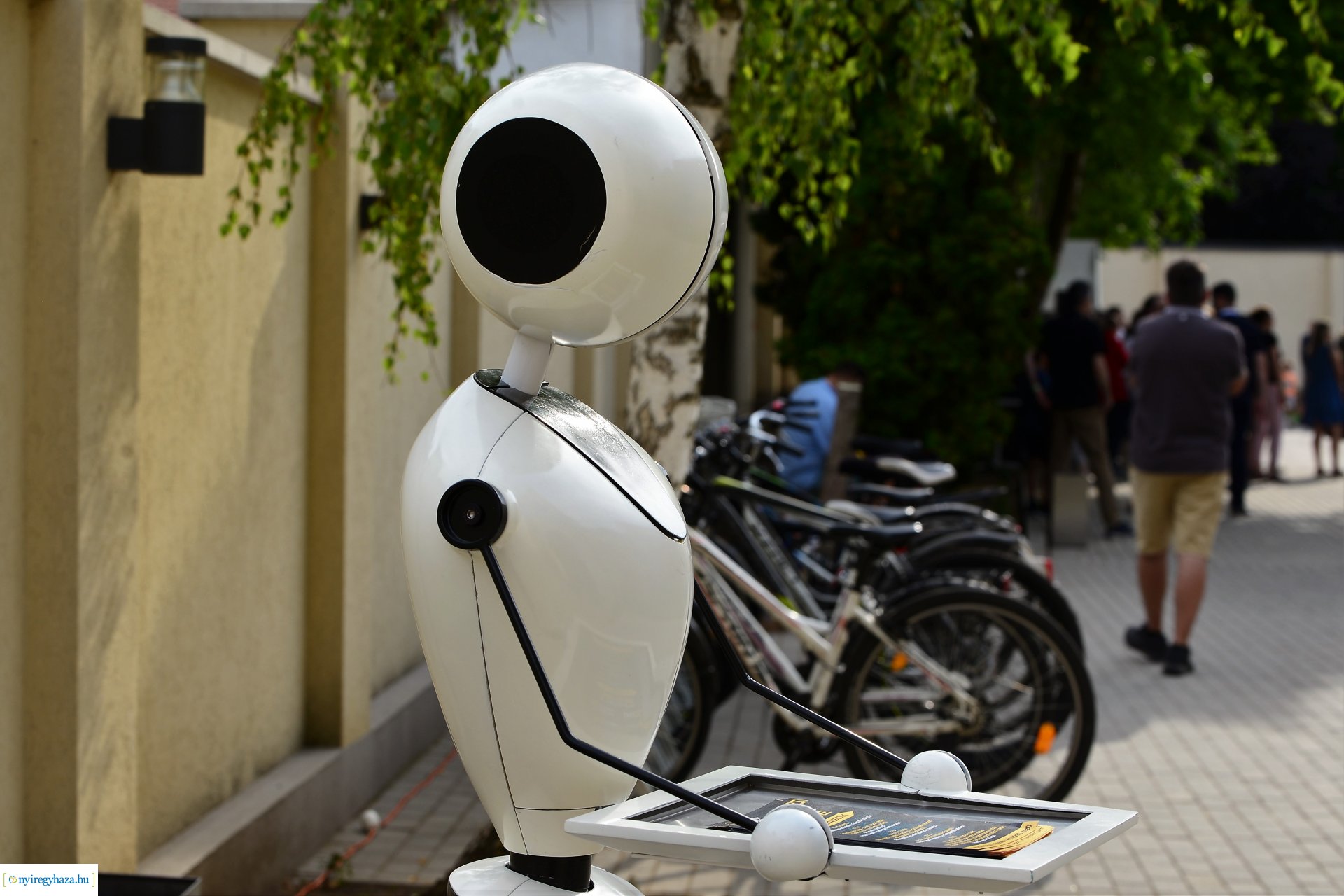 Múzeumok éjszakája a Kállay Gyűjteményben