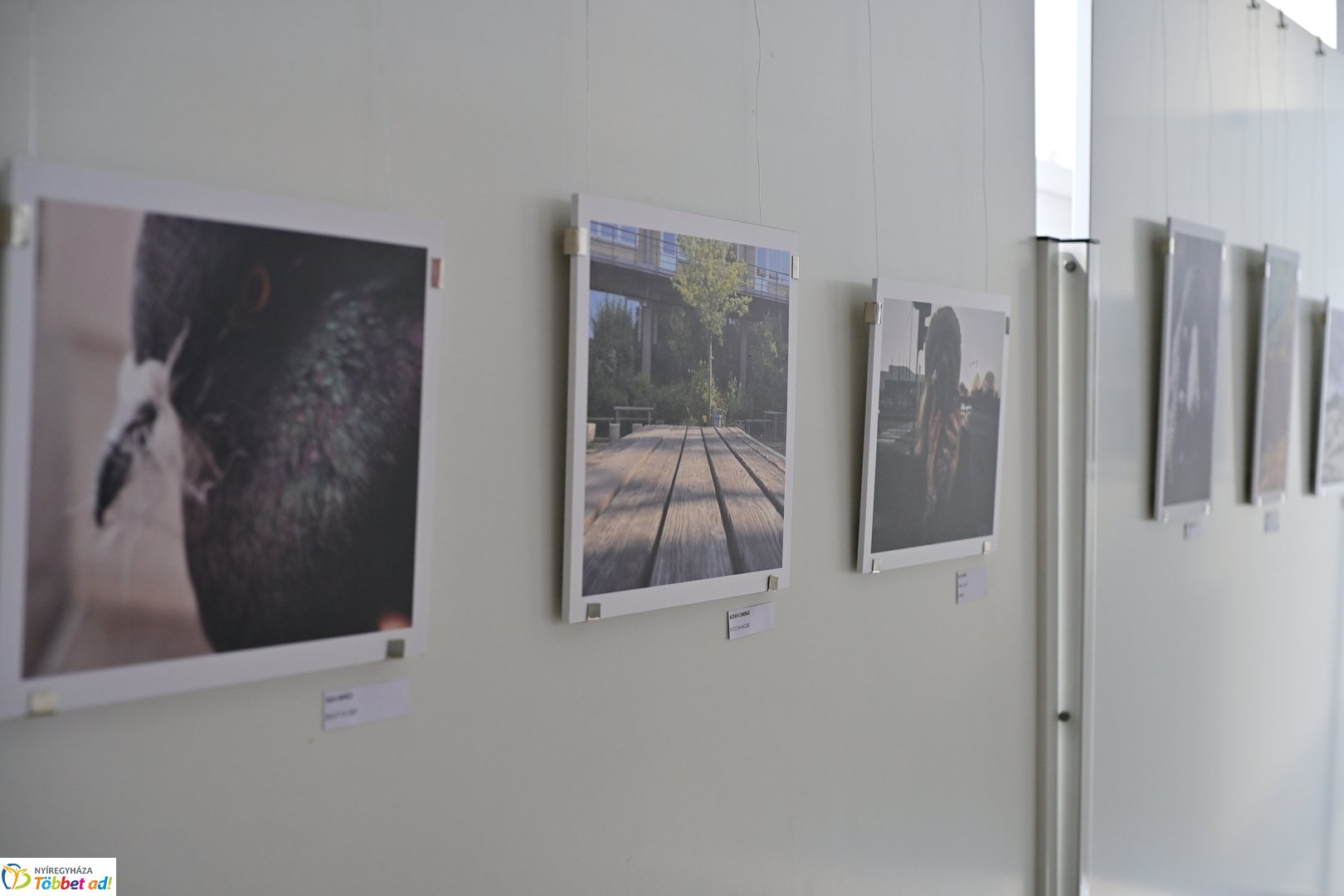 My world - fotókiállítás megnyitó 2025