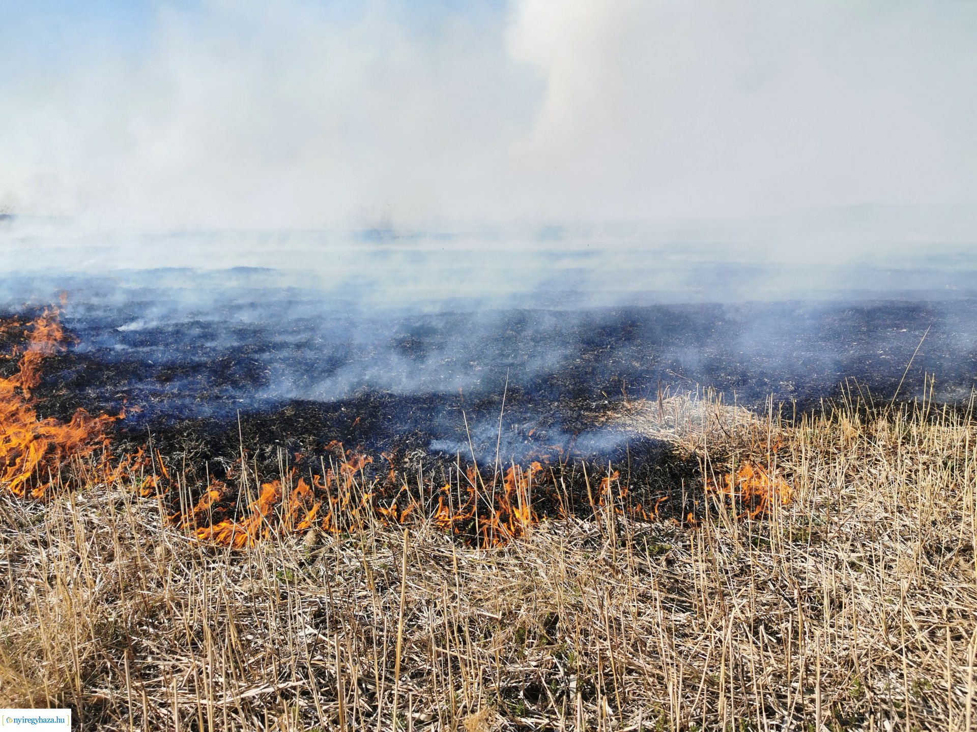 Nádas ég Kistelekiszőlőn