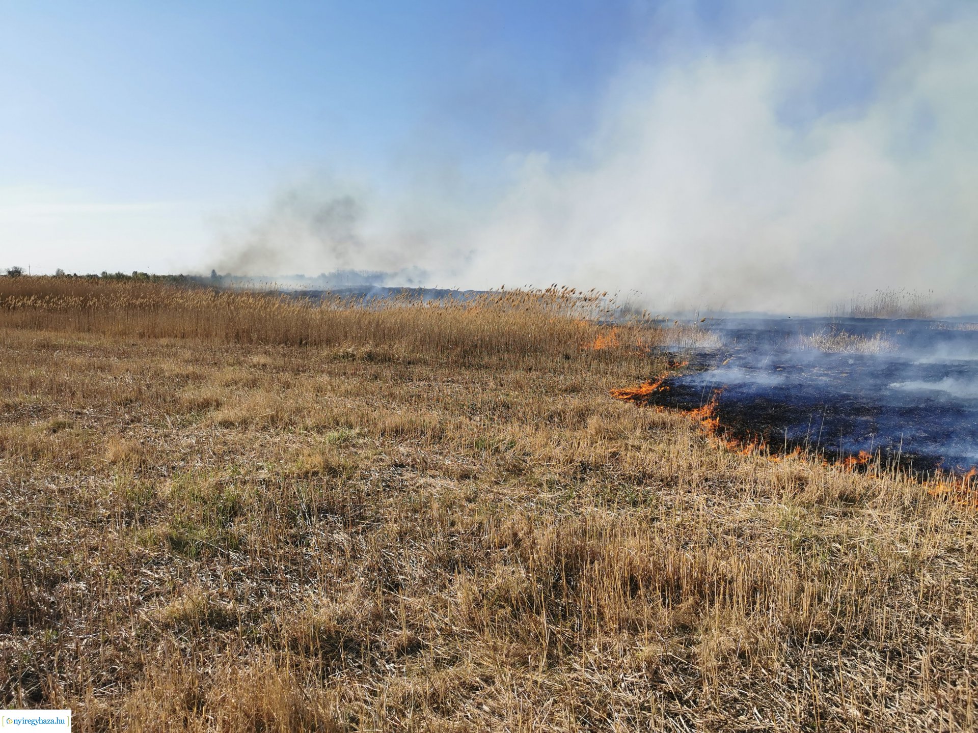 Nádas ég Kistelekiszőlőn