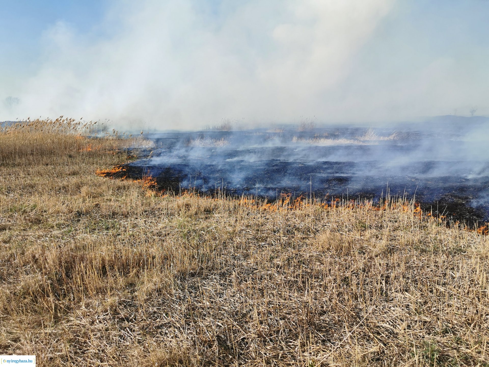 Nádas ég Kistelekiszőlőn