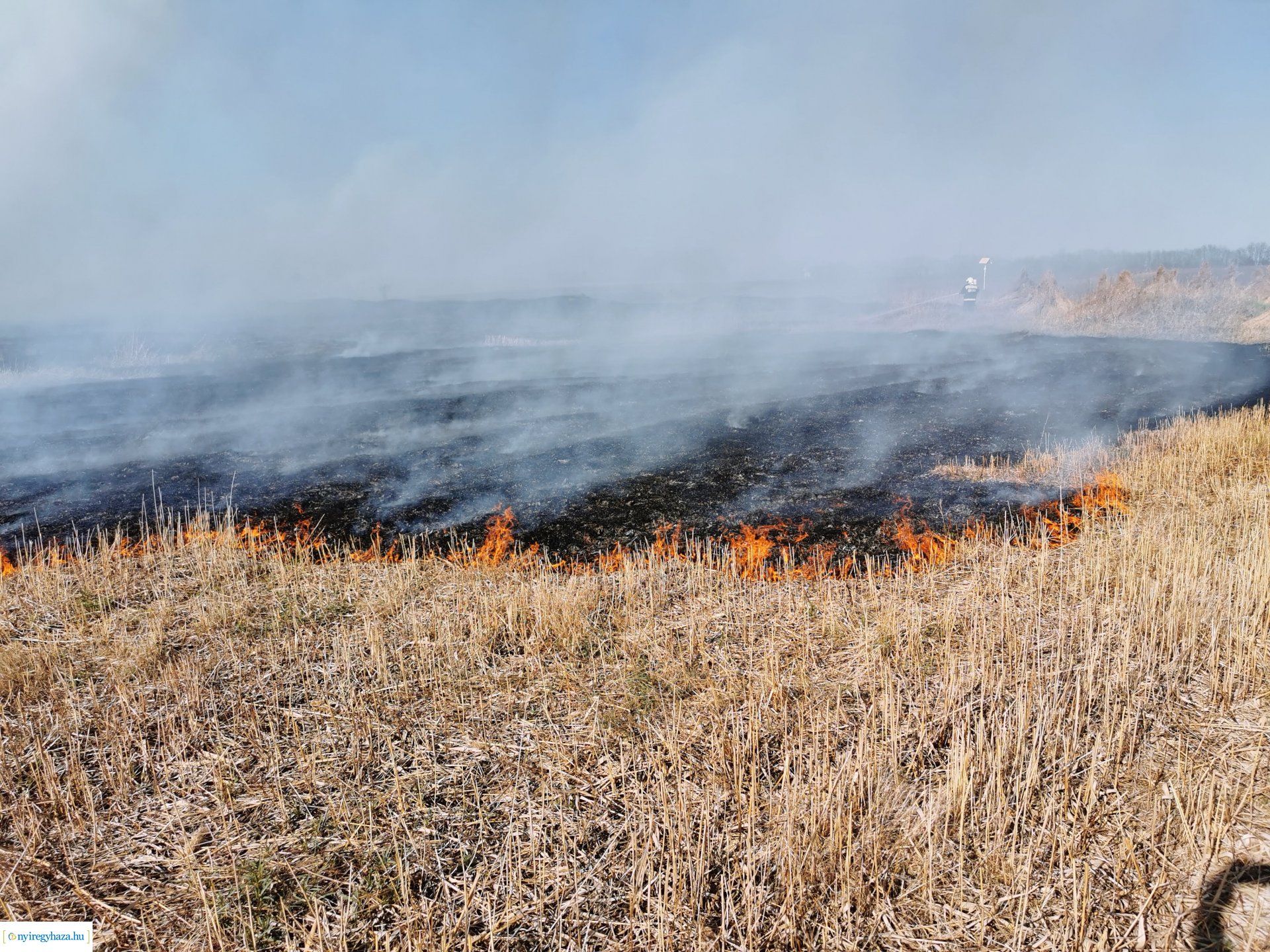 Nádas ég Kistelekiszőlőn