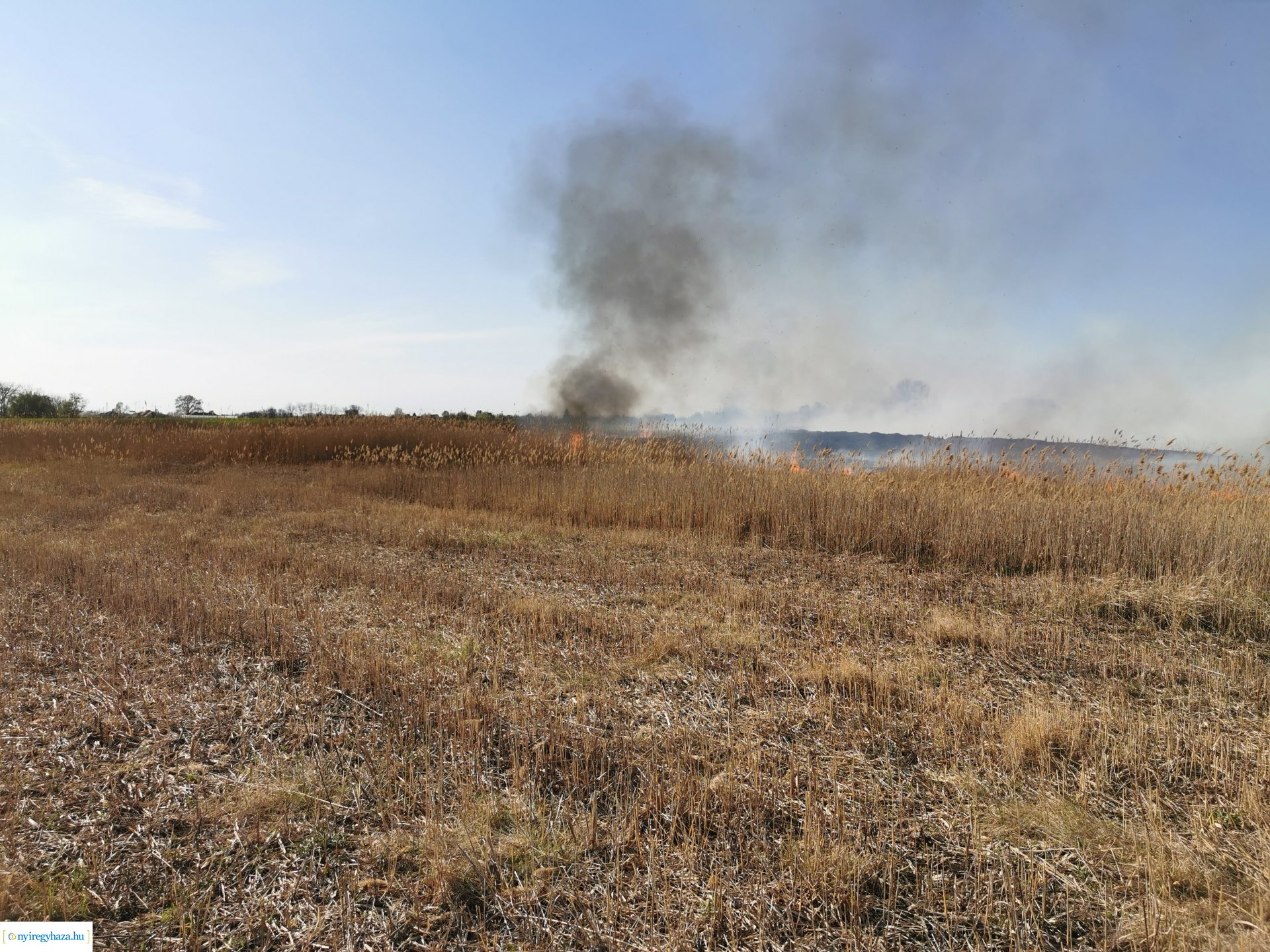 Nádas ég Kistelekiszőlőn