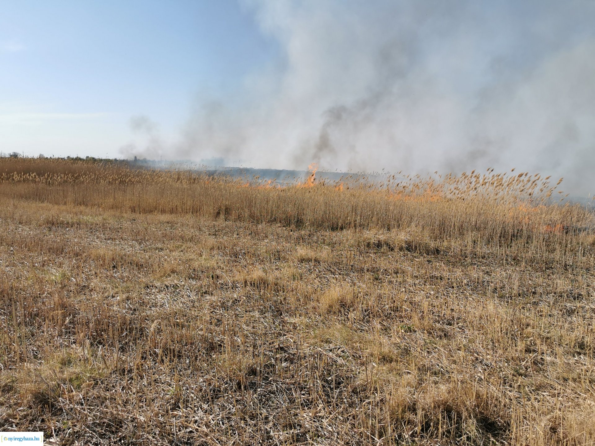 Nádas ég Kistelekiszőlőn
