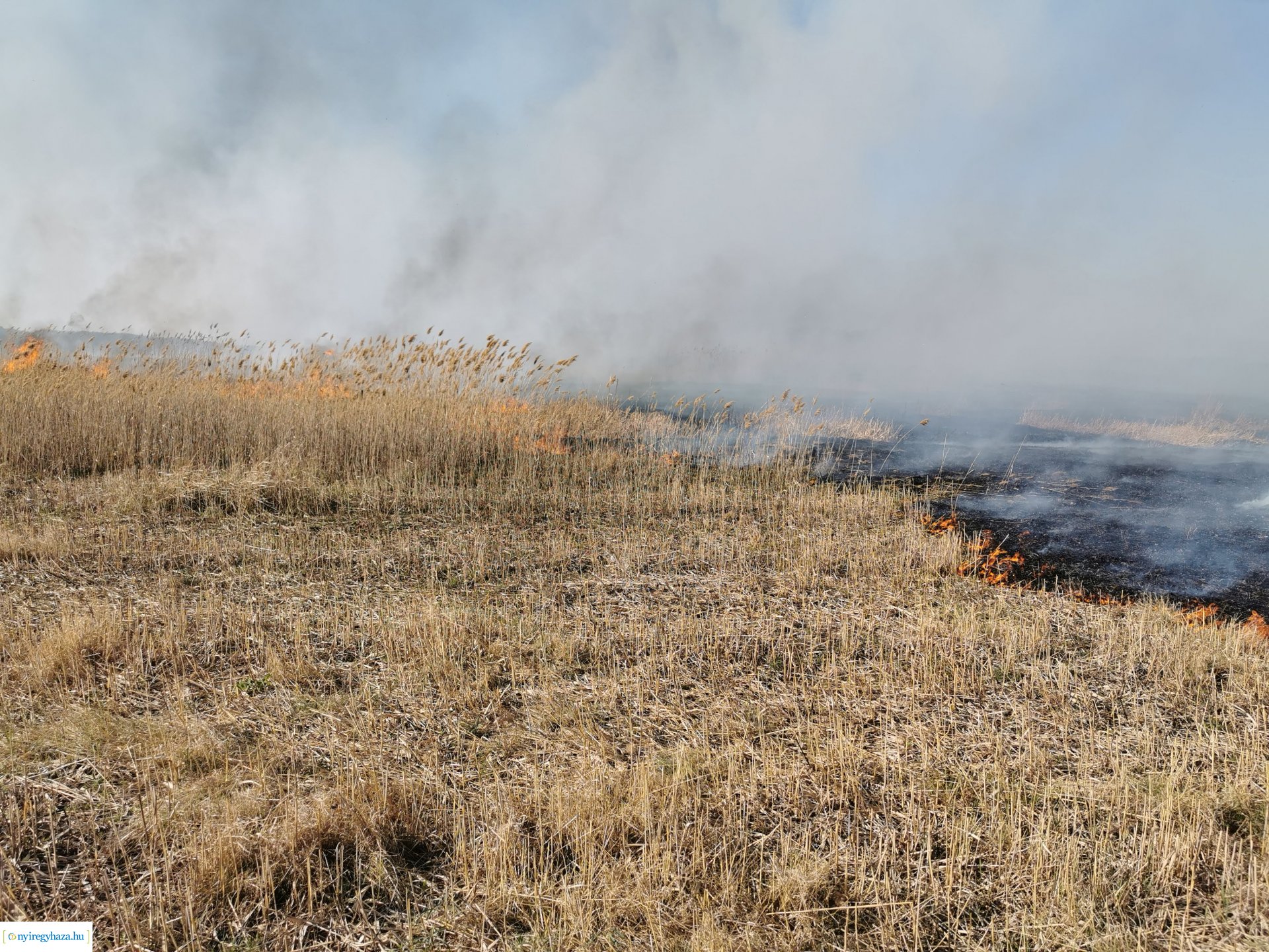 Nádas ég Kistelekiszőlőn