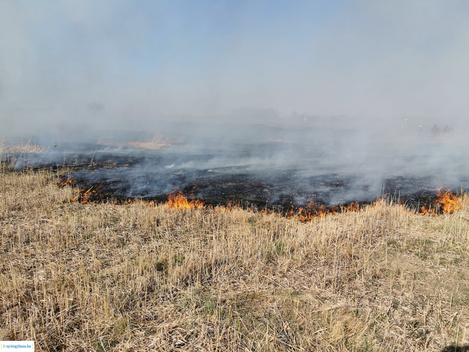 Nádas ég Kistelekiszőlőn