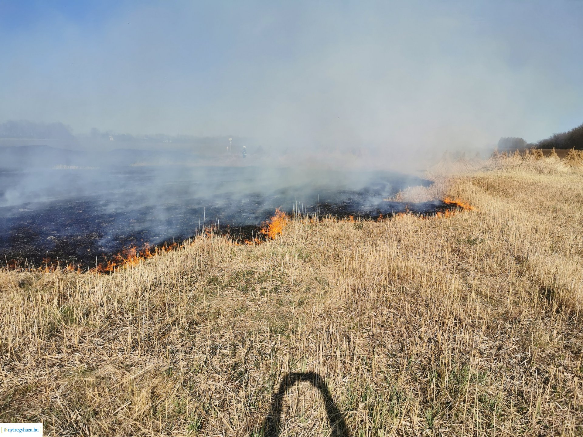 Nádas ég Kistelekiszőlőn