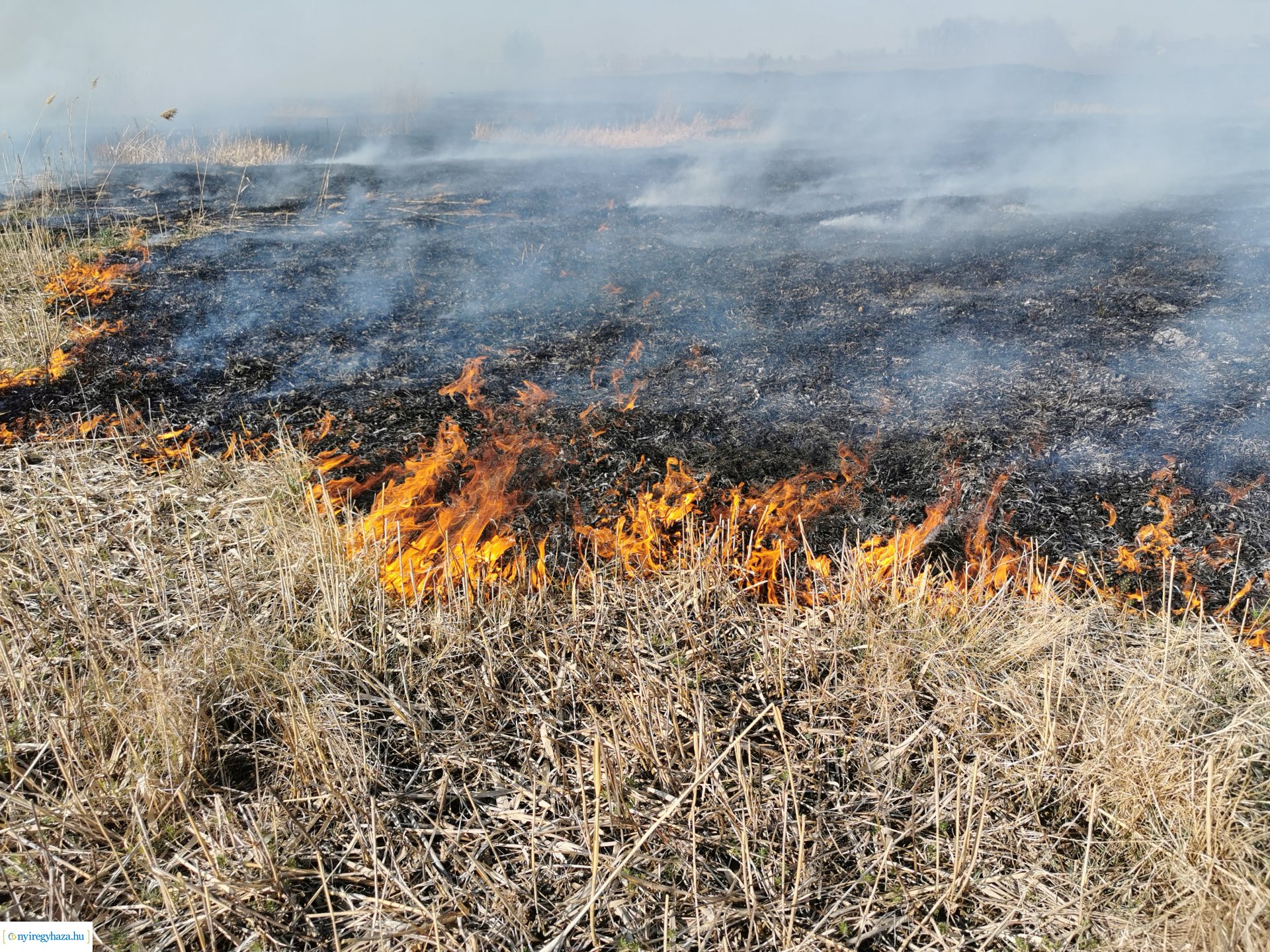 Nádas ég Kistelekiszőlőn