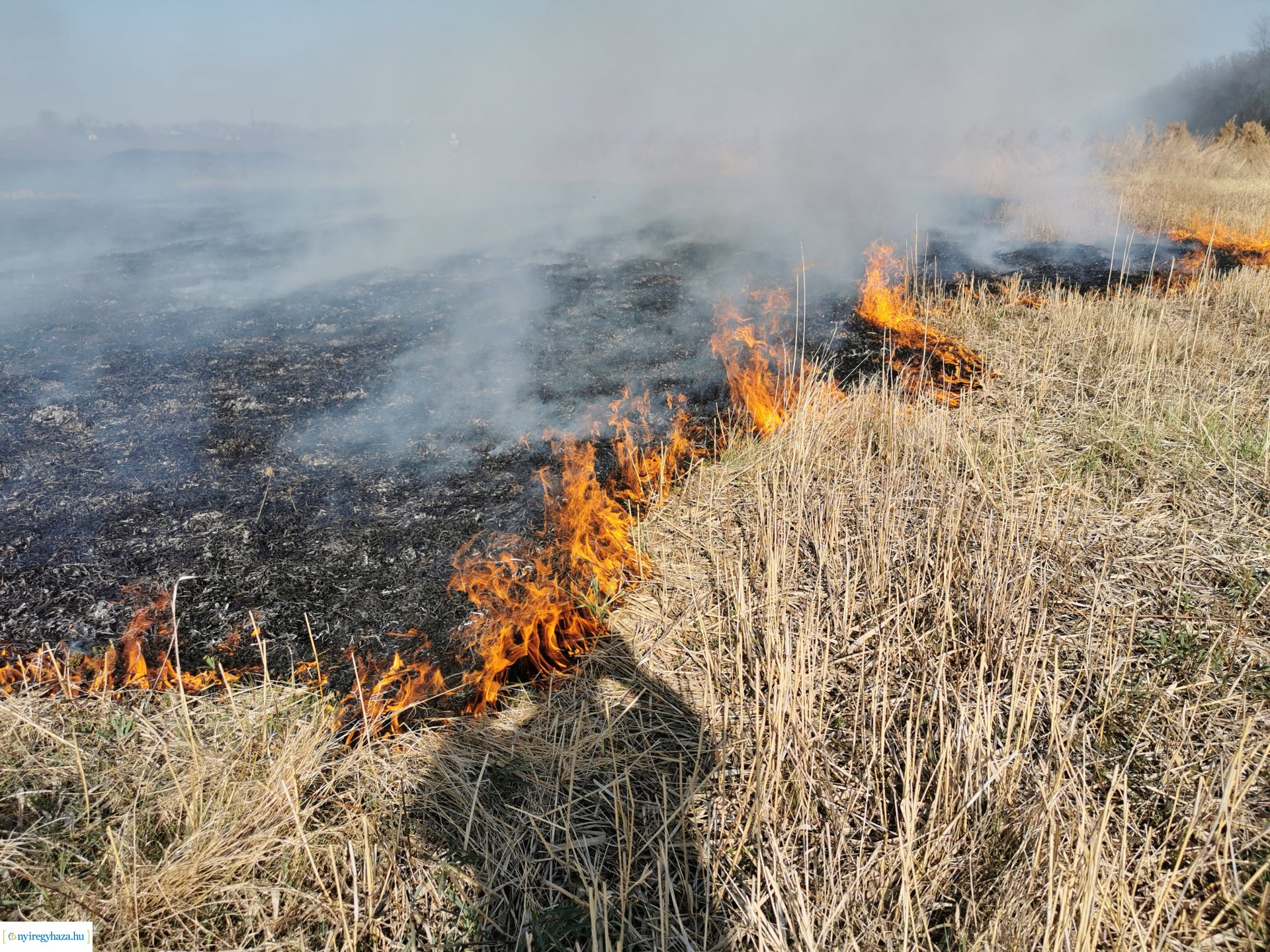 Nádas ég Kistelekiszőlőn
