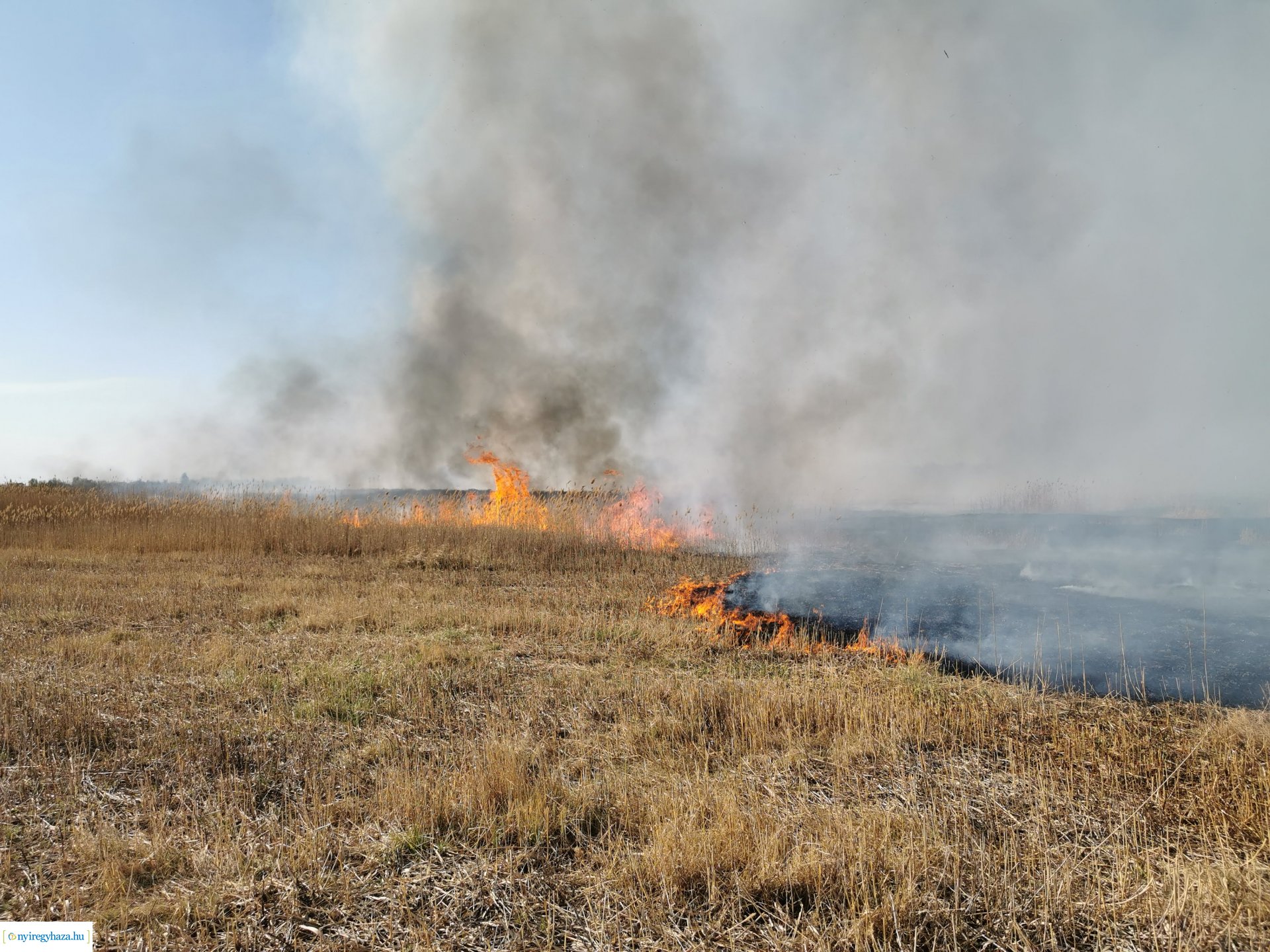 Nádas ég Kistelekiszőlőn