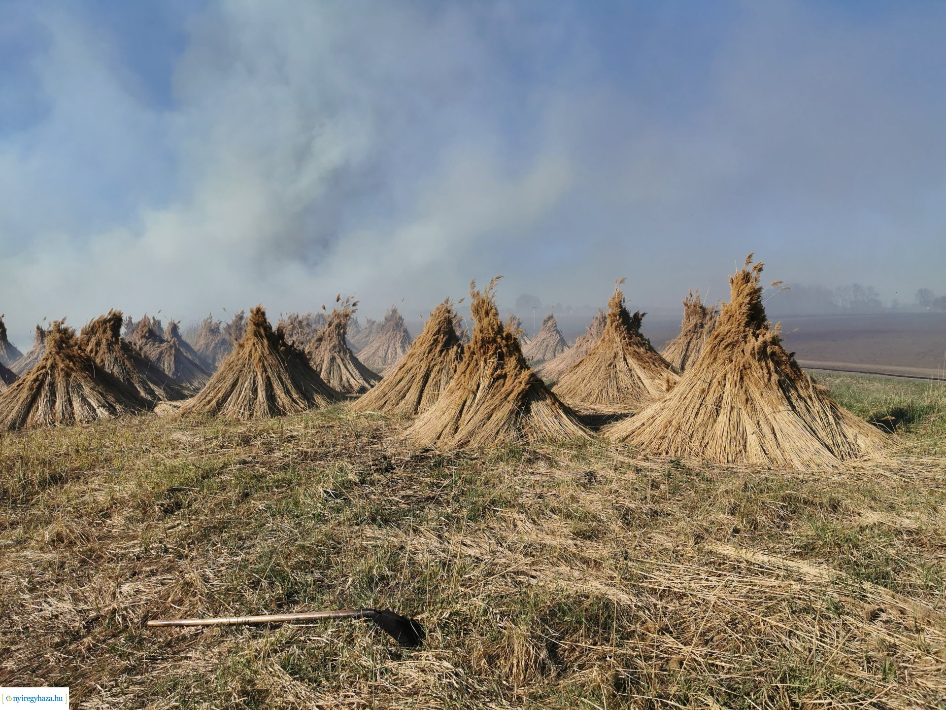 Nádas ég Kistelekiszőlőn