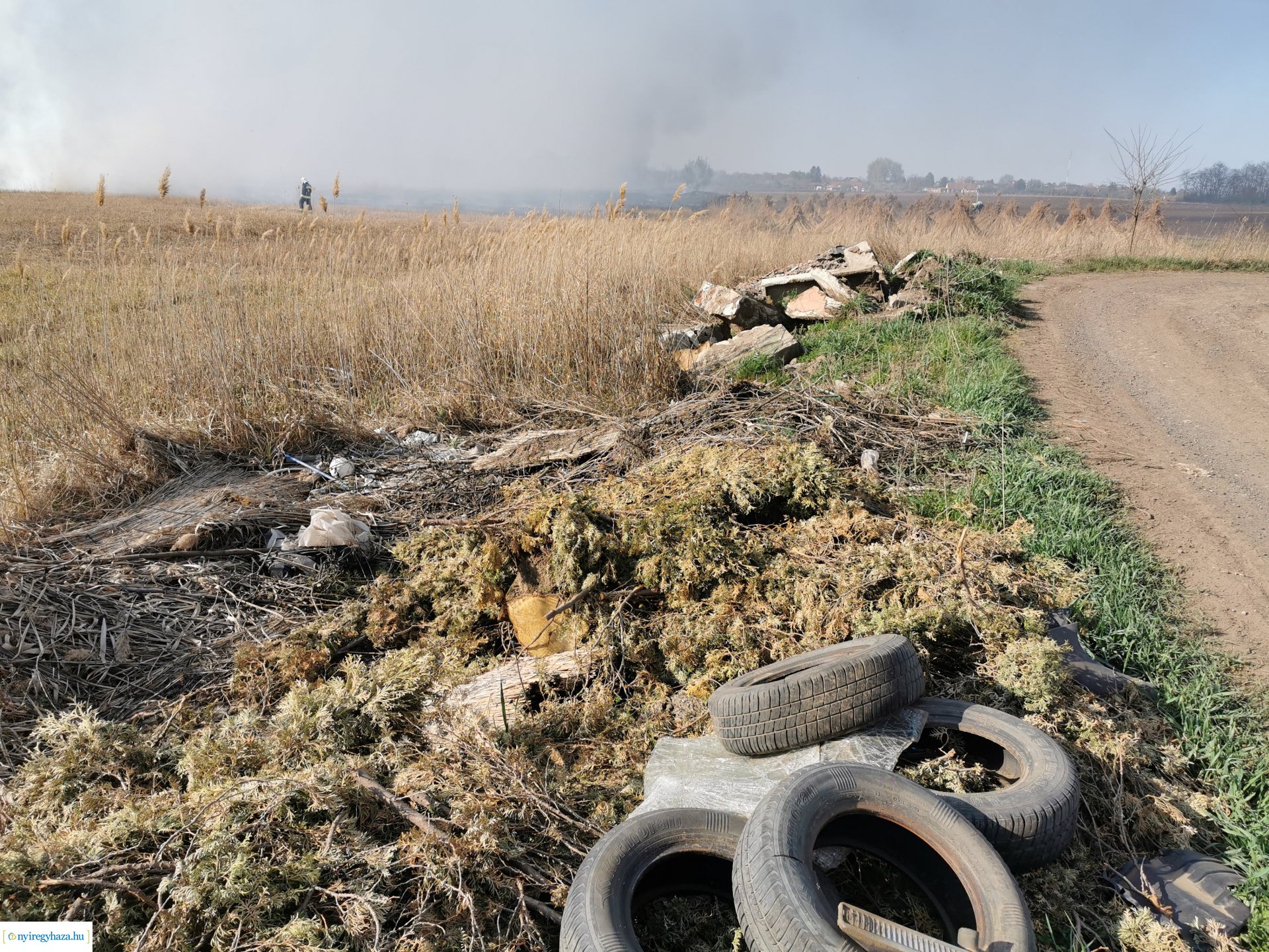 Nádas ég Kistelekiszőlőn