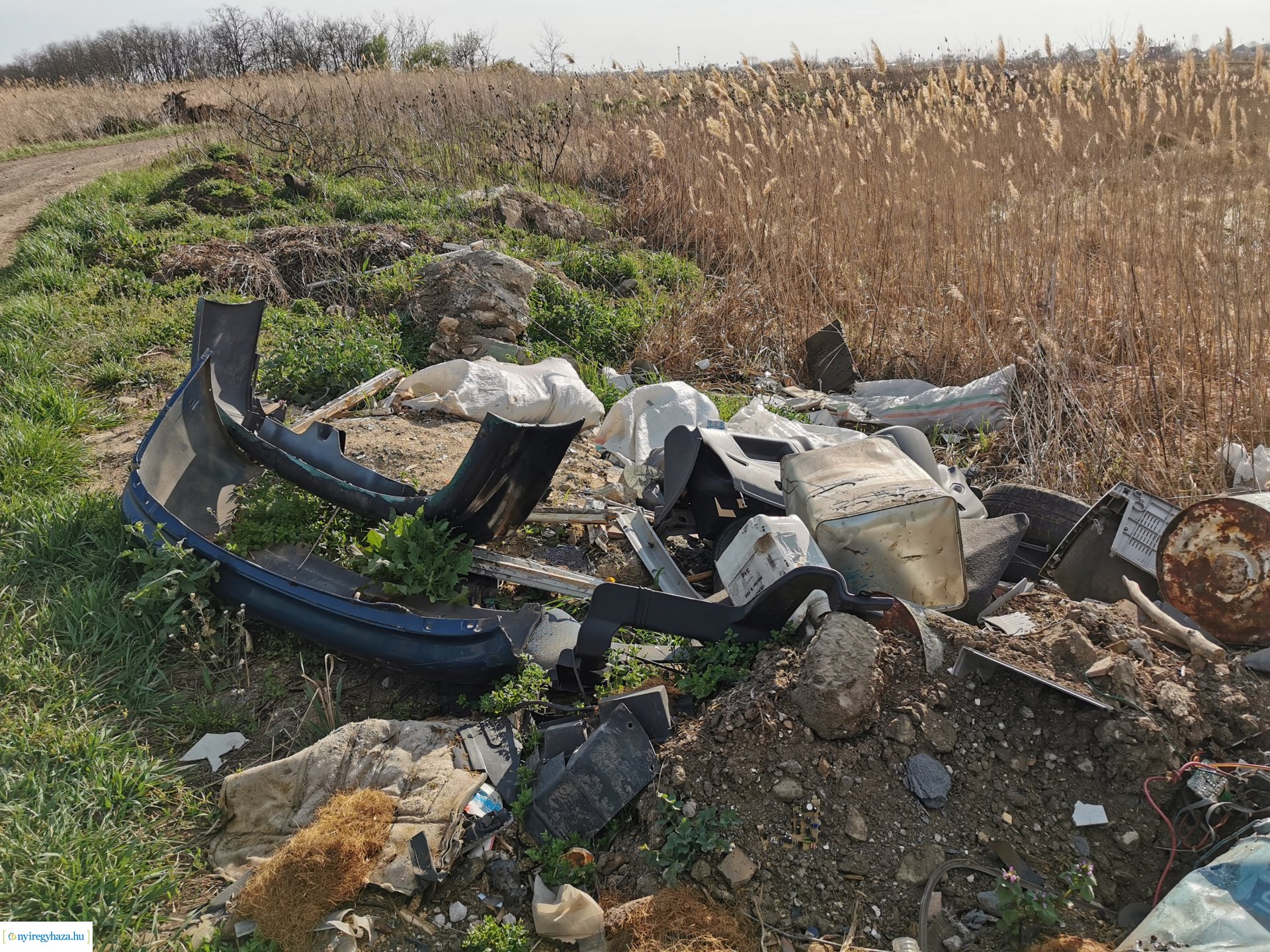 Nádas ég Kistelekiszőlőn