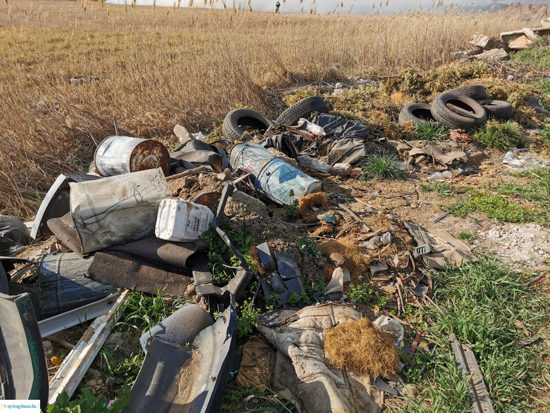 Nádas ég Kistelekiszőlőn