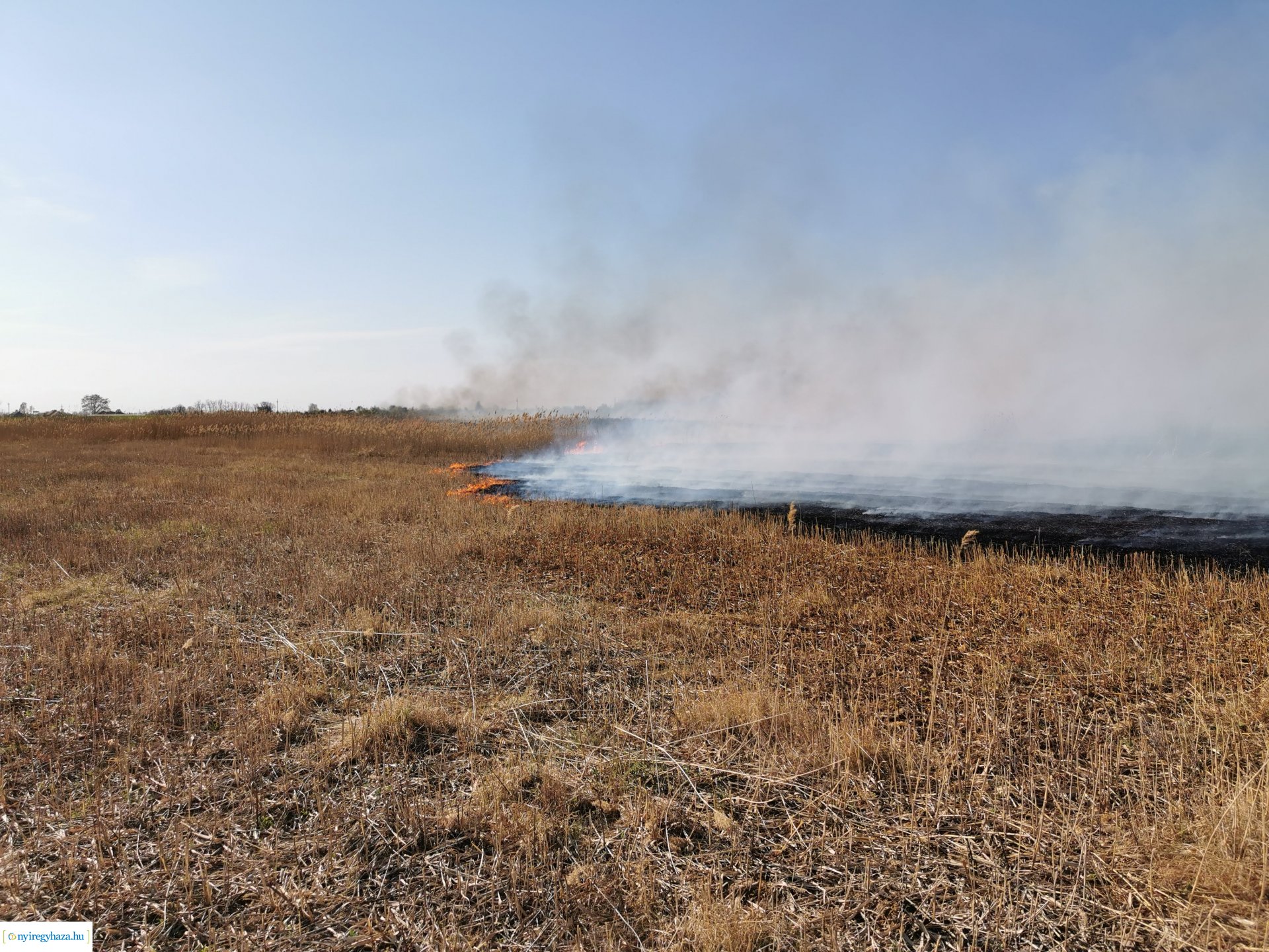 Nádas ég Kistelekiszőlőn