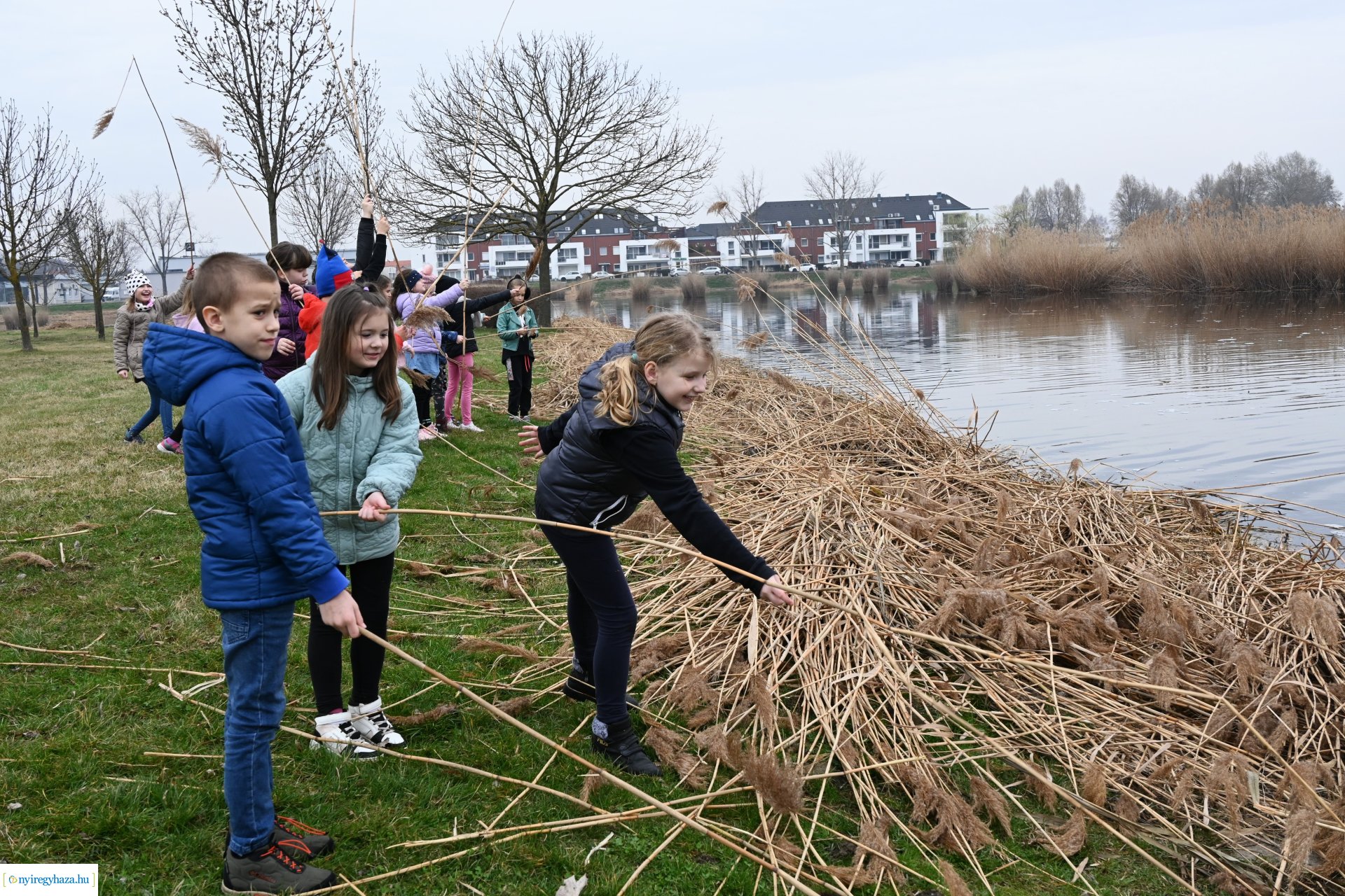 Nádvágás a Bujtoson