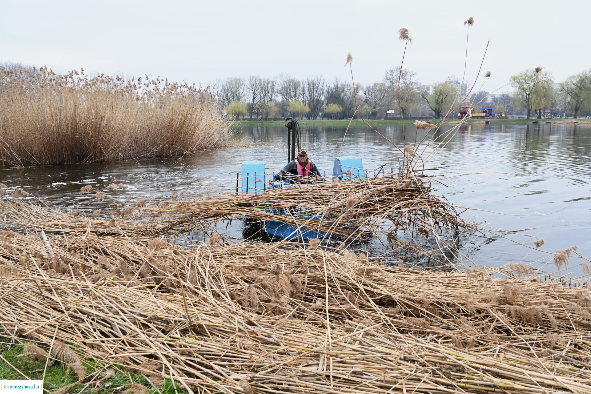 Nádvágás a Bujtoson