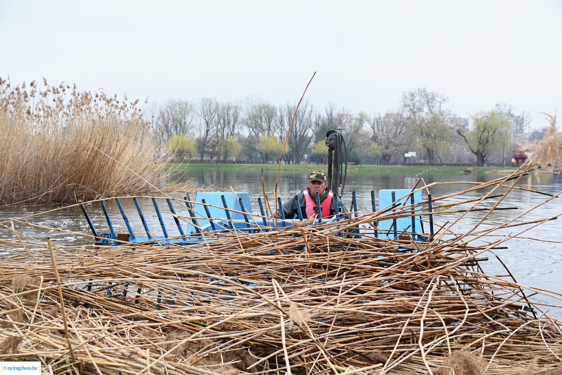 Nádvágás a Bujtoson